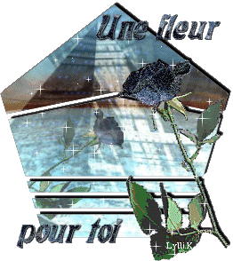 une rose bleue